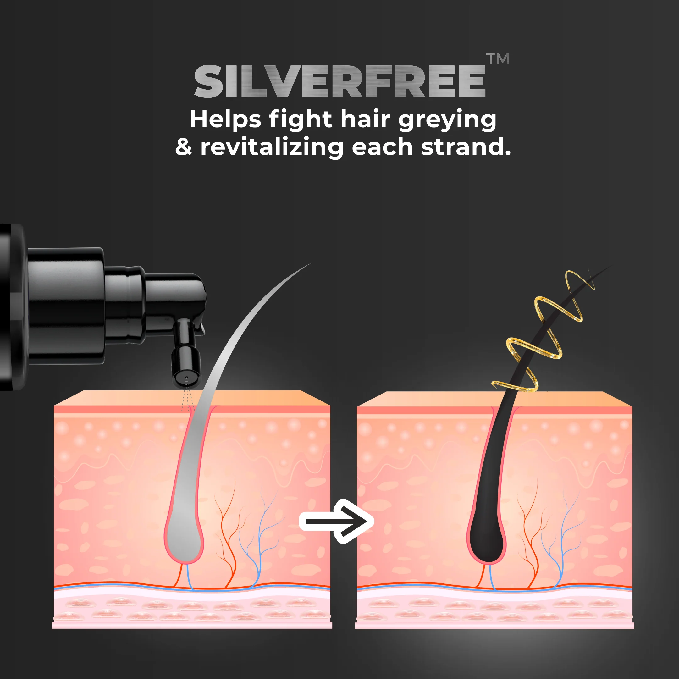 Anti Grey Hair Serum - Image 4